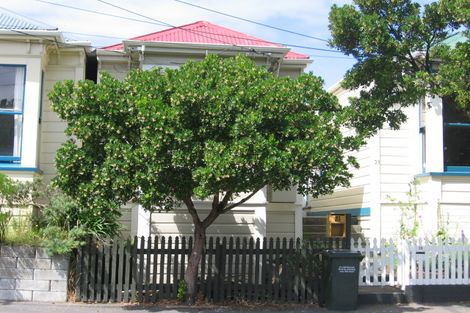 Photo of property in 21 Wright Street, Mount Cook, Wellington, 6021