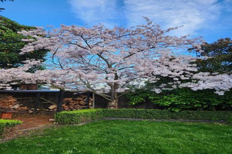 Photo of property in 59 Spencer Street, Addington, Christchurch, 8024