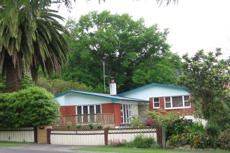 Photo of property in 17 Hamilton Street, Te Aroha, 3320