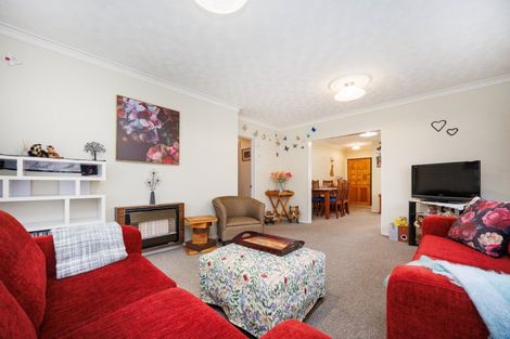 Photo of property in 15-17 Mcarthur Street, Terrace End, Palmerston North, 4410