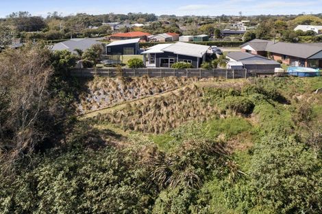 Photo of property in 518a Manutahi Road, Lepperton, New Plymouth, 4373