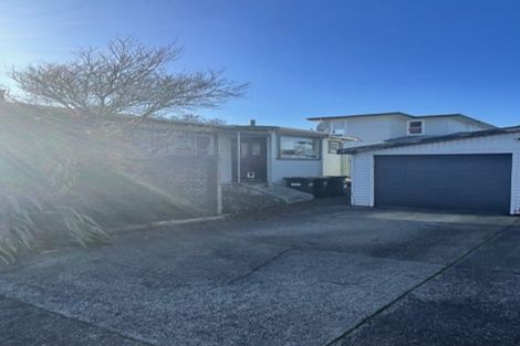 Photo of property in 74 Limbrick Street, Terrace End, Palmerston North, 4410