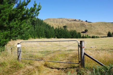 Photo of property in 487 Whangamata Road, Kinloch, Taupo, 3377