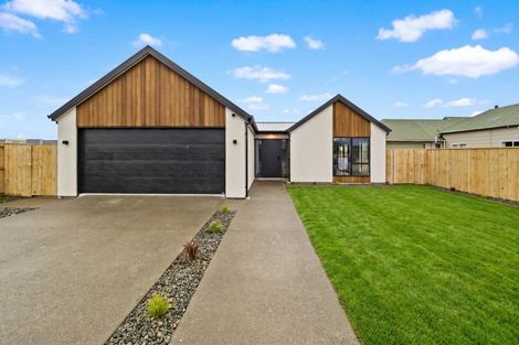 Photo of property in 59 Nixon Street, Tinwald, Ashburton, 7700
