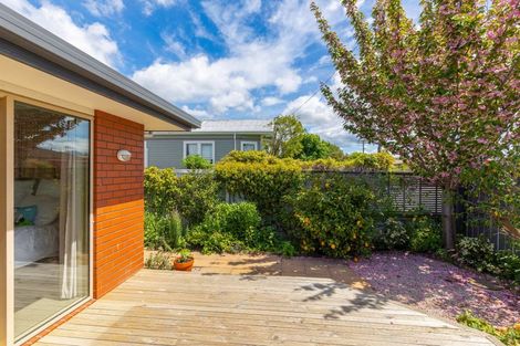 Photo of property in 113 Charles Street, Blenheim, 7201
