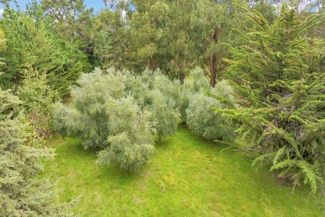 Photo of property in 161 Ward Road, Cheviot, 7381