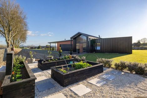 Photo of property in 678a Mangaorongo Road, Otorohanga, 3972