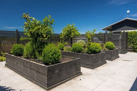 Photo of property in 90 Jeffries Road, Rapaura, Blenheim, 7273