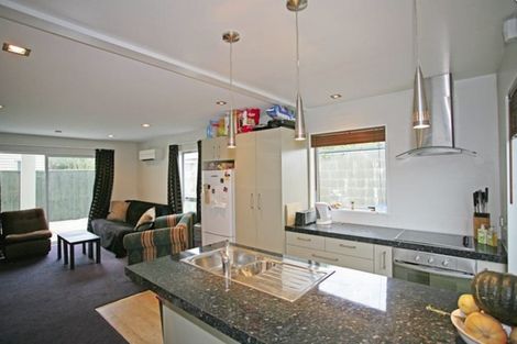 Photo of property in 496d Barbadoes Street, Edgeware, Christchurch, 8013