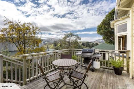Photo of property in 16 Cairnhill Street, Maori Hill, Dunedin, 9010