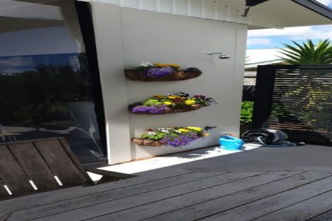 Photo of property in 22 Hillcrest Road, Kaikohe, 0405