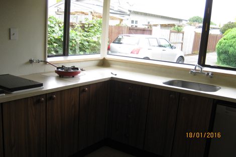 Photo of property in 255 Park Road, Hokowhitu, Palmerston North, 4410