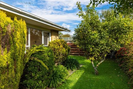 Photo of property in 10c Eltham Road, Blenheim, 7201
