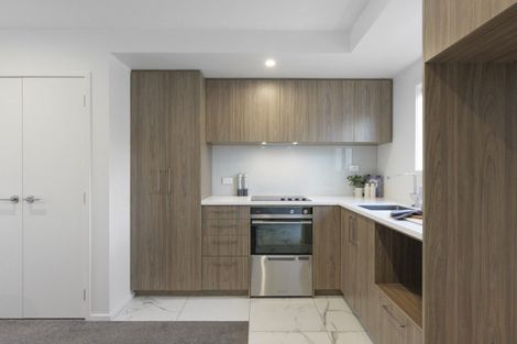 Photo of property in 19 Bings Lane, Richmond, Christchurch, 8013