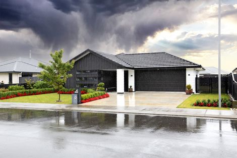 Photo of property in 15 Maple Grove, Kingston, Wellington, 6021