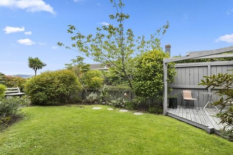 Photo of property in 19g Sheen Street, Roslyn, Dunedin, 9010