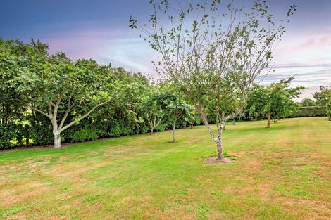 Photo of property in 121b Aerodrome Road, Thornton, Whakatane, 3191