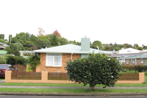 Photo of property in 14 Little Street, Tirau, 3410
