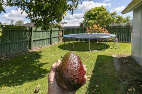 Photo of property in 13 Harlock Place, Huntly, 3700