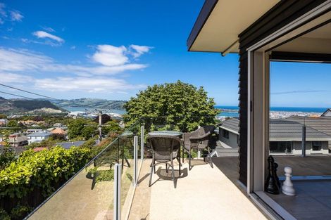 Photo of property in 10 Garfield Avenue, Roslyn, Dunedin, 9010