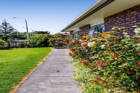 Photo of property in 17 Mcnaughton Street, Waitara, 4320