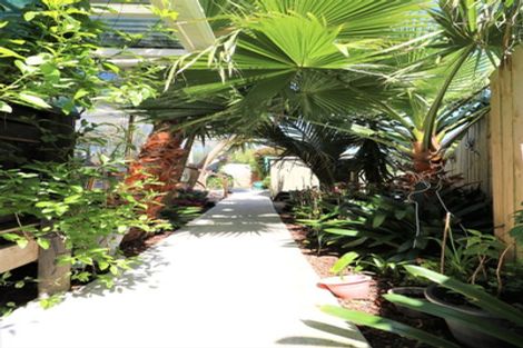 Photo of property in 13 Marlin Place, Whiritoa, Whangamata, 3691