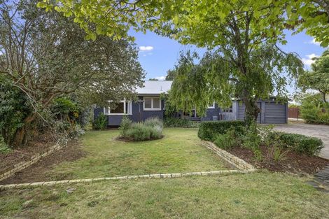 Photo of property in 126 Newcastle Road, Dinsdale, Hamilton, 3204