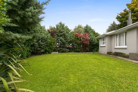 Photo of property in 73 Station Road, Matamata, 3400