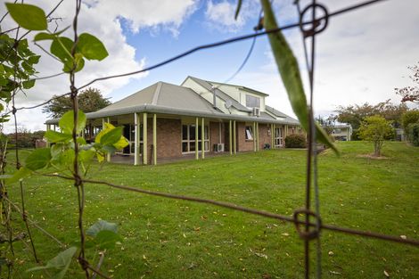 Photo of property in 725 Paterangi Road, Te Awamutu, Ohaupo, 3883