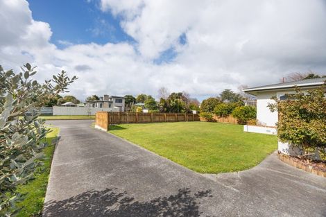 Photo of property in 50 Sheffield Street, Awapuni, Palmerston North, 4412