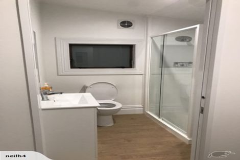 Photo of property in 23 Buchanan Street, Kingsland, Auckland, 1021