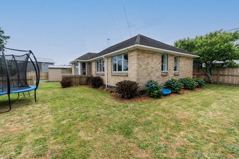 Photo of property in 45 Yeats Crescent, Fairfield, Hamilton, 3214