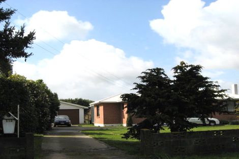 Photo of property in 119 Roslyn Road, Levin, 5510
