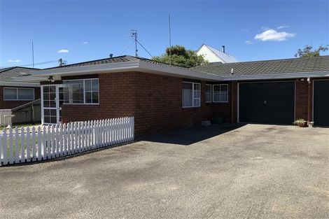 Photo of property in 23a Trafalgar Street, Levin, 5510