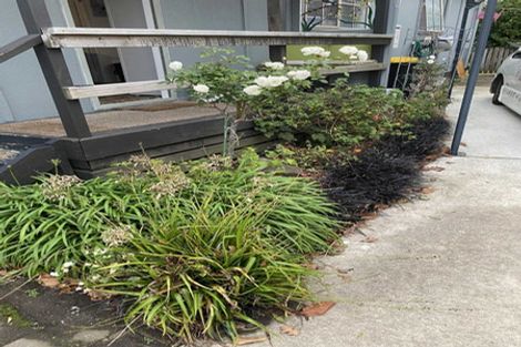 Photo of property in 8a Tauranga Road, Waihi, 3610