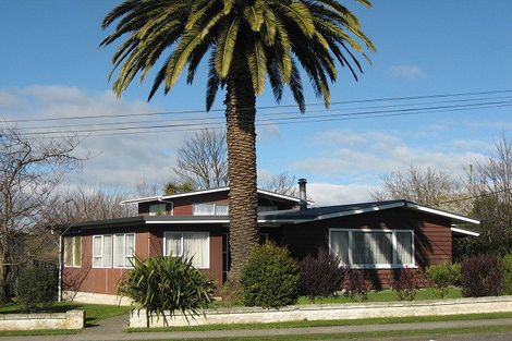 Photo of property in 17 Jellicoe Street, Waipukurau, 4200