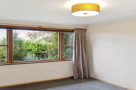 Photo of property in 8 Christie Street, Forest Lake, Hamilton, 3200