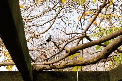 Photo of property in 3 Worsfold Lane, Terrace End, Palmerston North, 4410