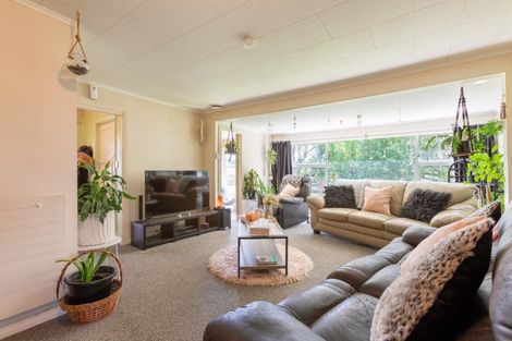 Photo of property in 148 Adelaide Road, Dannevirke, 4930