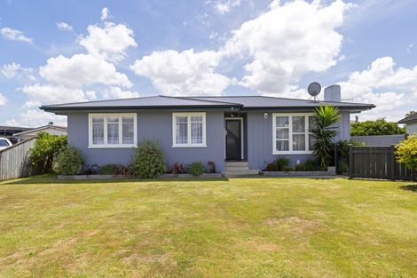 Photo of property in 25 Battersea Place, Roslyn, Palmerston North, 4414