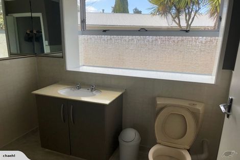 Photo of property in 33 Edinburgh Road, Hillcrest, Hamilton, 3216