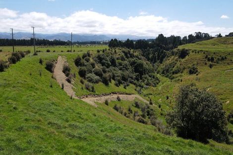 Photo of property in 200 Garfield Road, Norsewood, Dannevirke, 4977