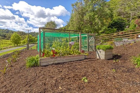 Photo of property in 374 Matokitoki Valley Road, Matokitoki, Gisborne, 4071