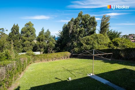 Photo of property in 52 Puketai Street, Andersons Bay, Dunedin, 9013