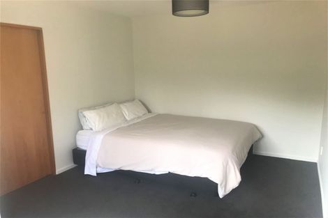 Photo of property in 13 Straven Road, Riccarton, Christchurch, 8011