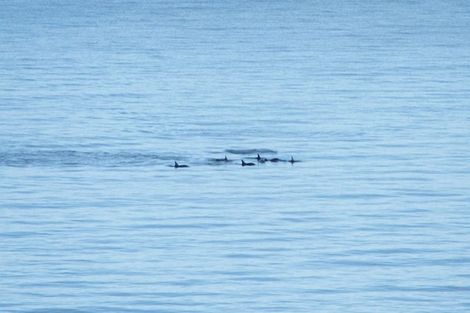 Photo of property in 19 The Crescent, Raumati South, Paraparaumu, 5032