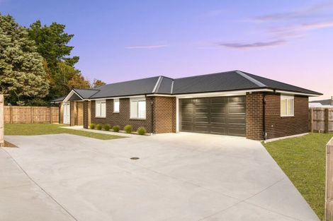 Photo of property in 4a Carrick Robertson Place, Waihi, 3610