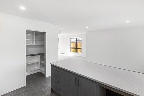 Photo of property in 6 Nethercote Way, Rolleston, 7614