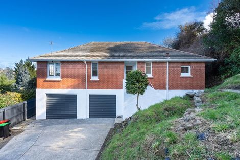 Photo of property in 106 Sidey Street, Calton Hill, Dunedin, 9012