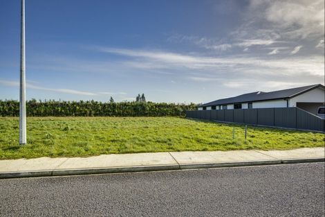 Photo of property in 21 Arihi Crescent, Frimley, 4120